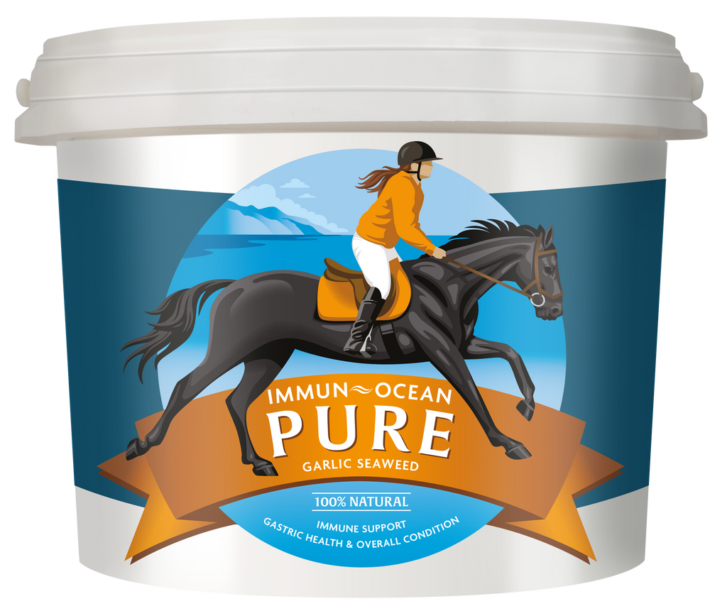 Unlock the Power of Nature for your Horse's Health with Immun-Ocean Pure